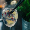 Wat is de lekkerste gin voor een gin-tonic?