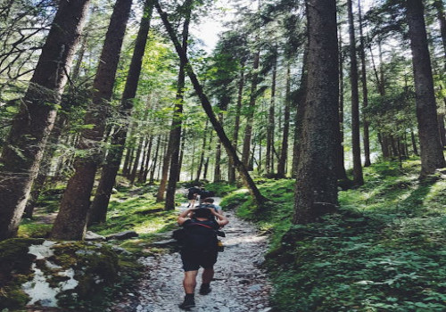Wat zijn de beste wandelroutes in de omgeving van Oss?