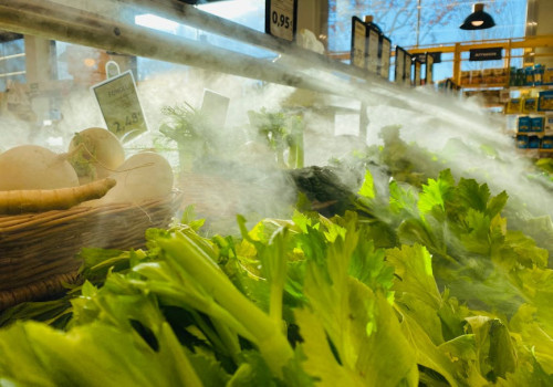 Waar komt de bijnaam Osse Knollen vandaan?