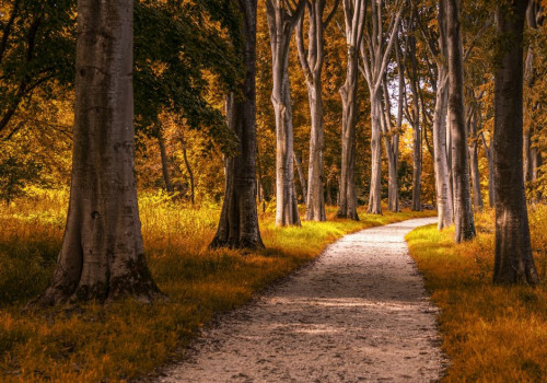 Hoe lang duurt 10 km wandelen in de Maashorst bij Oss en wat trek je aan in november