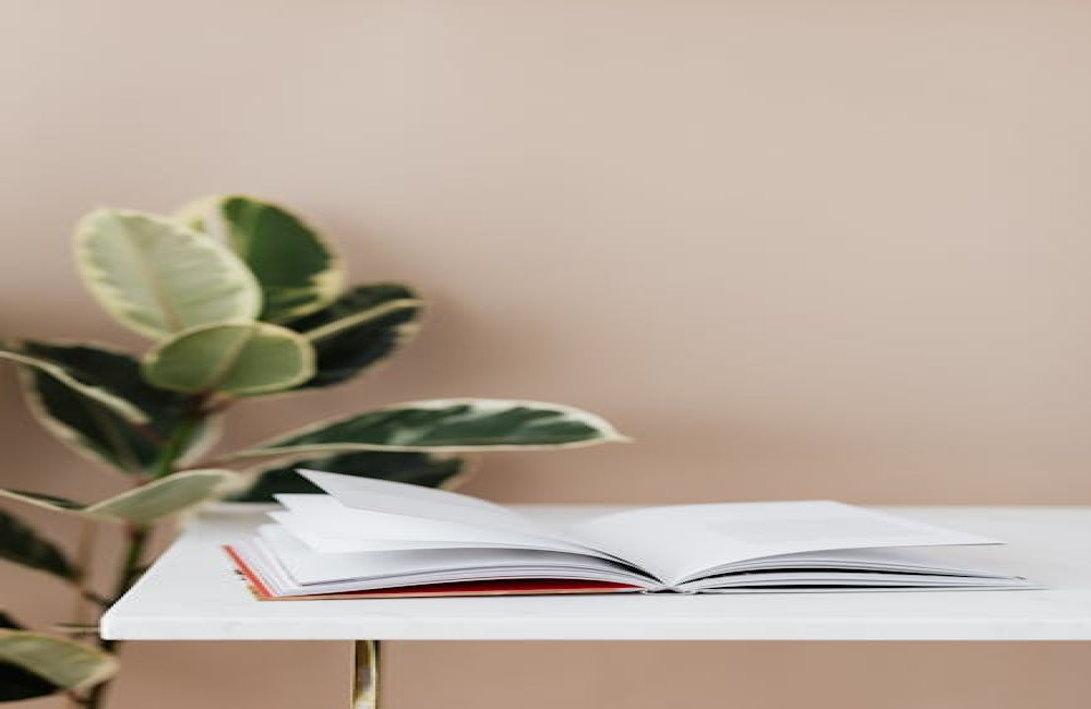 Wat is er te doen in Oss en omgeving in het weekend?
